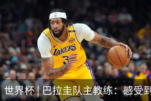 世界杯 | 巴拉圭队主教练：感受到比赛的极致压力