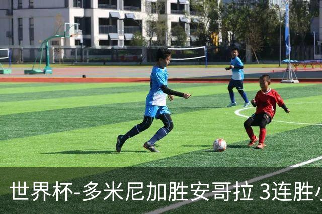 世界杯-多米尼加胜安哥拉 3连胜小组第一晋级