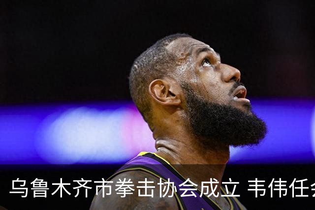 乌鲁木齐市拳击协会成立 韦伟任会长