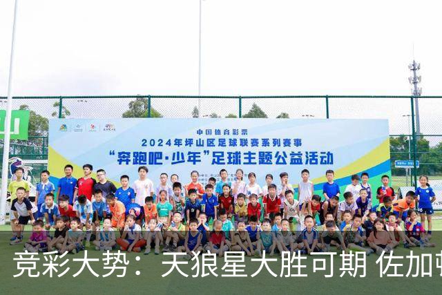 竞彩大势：天狼星大胜可期 佐加顿斯客场凯旋